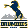Brumbies